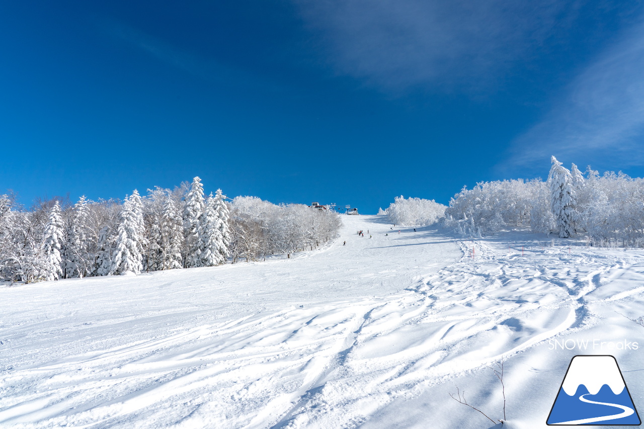 カムイスキーリンクス｜この上ないほど澄んだ青空と極上のパウダースノー。やっぱり『カムイ』は外れない！